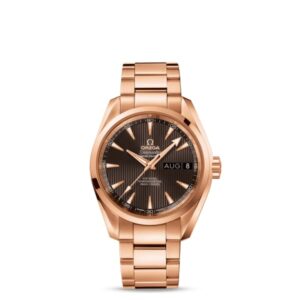 OMG Seamaster Ref. # 231.50.39.22.06.001