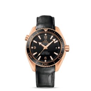 OMG Seamaster Ref. # 232.63.42.21.01.001
