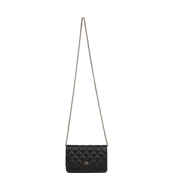 CC Wallet on Chain WOC Black Caviar Gold Hardware - Image 6